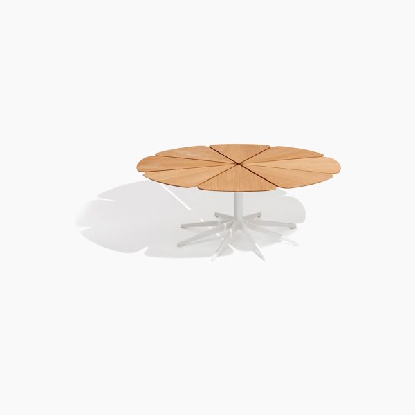 Petal Coffee Table