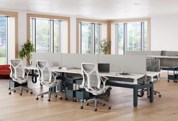 Ratio Bench