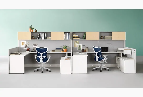 Action Office
