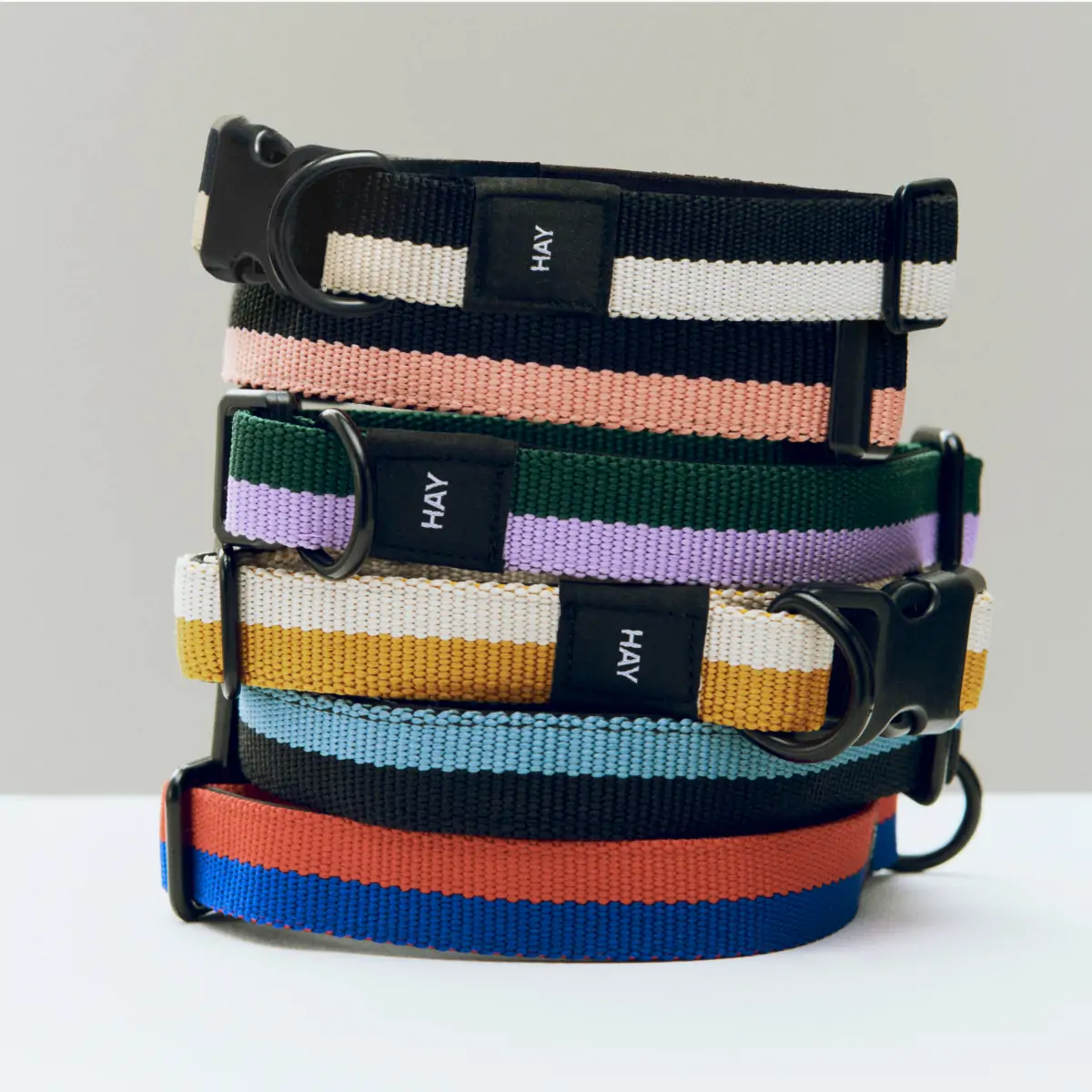 HAY Dogs Collar Flat_02