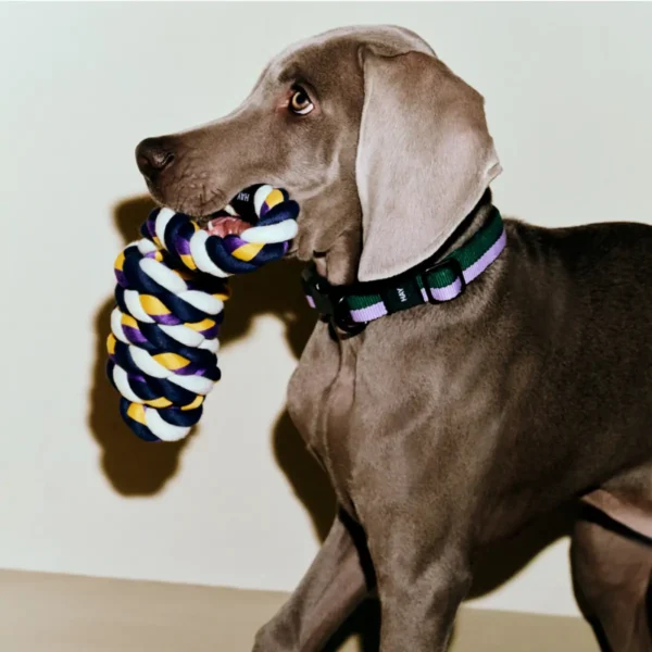 HAY Dogs Rope Toy
