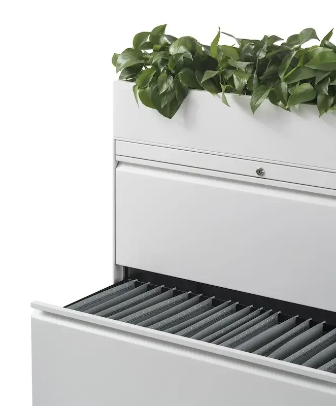 CKS_0040_20180311231512216.tif.rendition.992.992