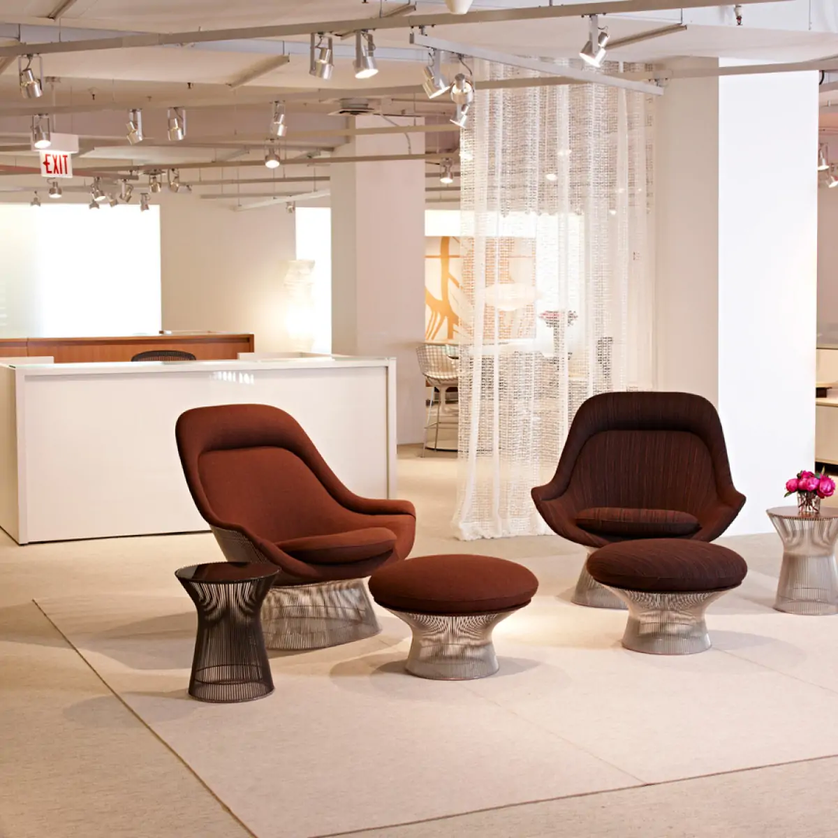 1200x1200 - 2026-02-06T171733.394