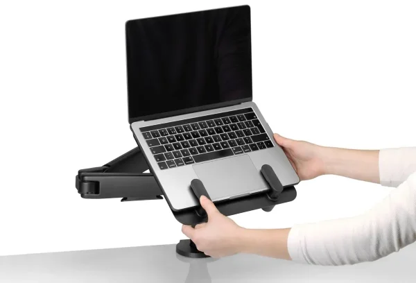 Ollin Laptop and Tablet Mount