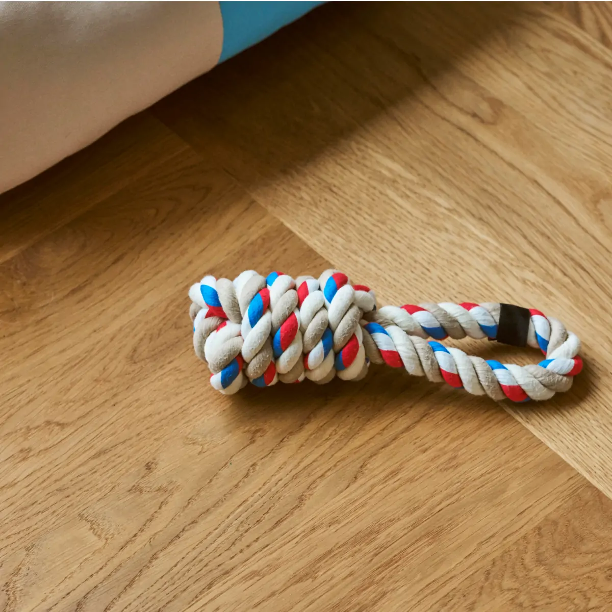 HAY Dogs Rope Toy_02