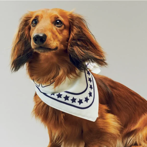 HAY Dogs Scarf (Recycled)