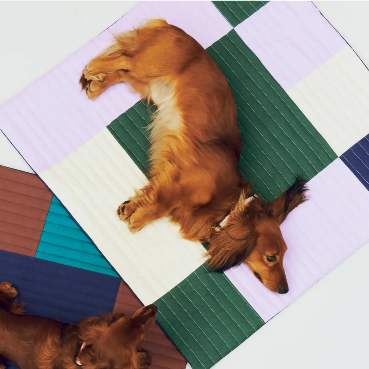 HAY Dogs Travel Blanket_02