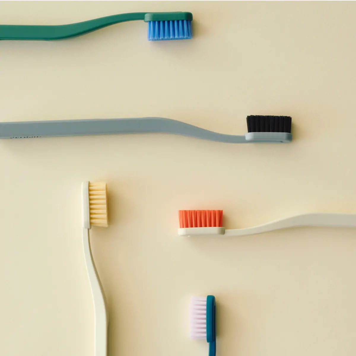 Tann Toothbrush 02 (2)