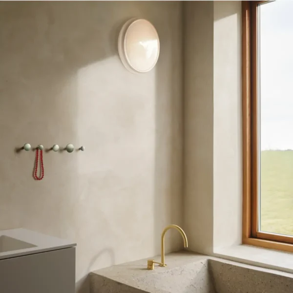 Looped Wall/Ceiling Lamp